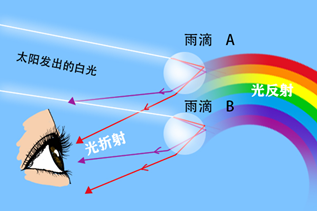 彩虹為什么是弧形的(彩虹的七種正確顏色)
