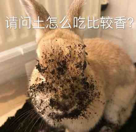 “雙11”和“黑五”的土，到底有什么區(qū)別？看這一篇就夠了