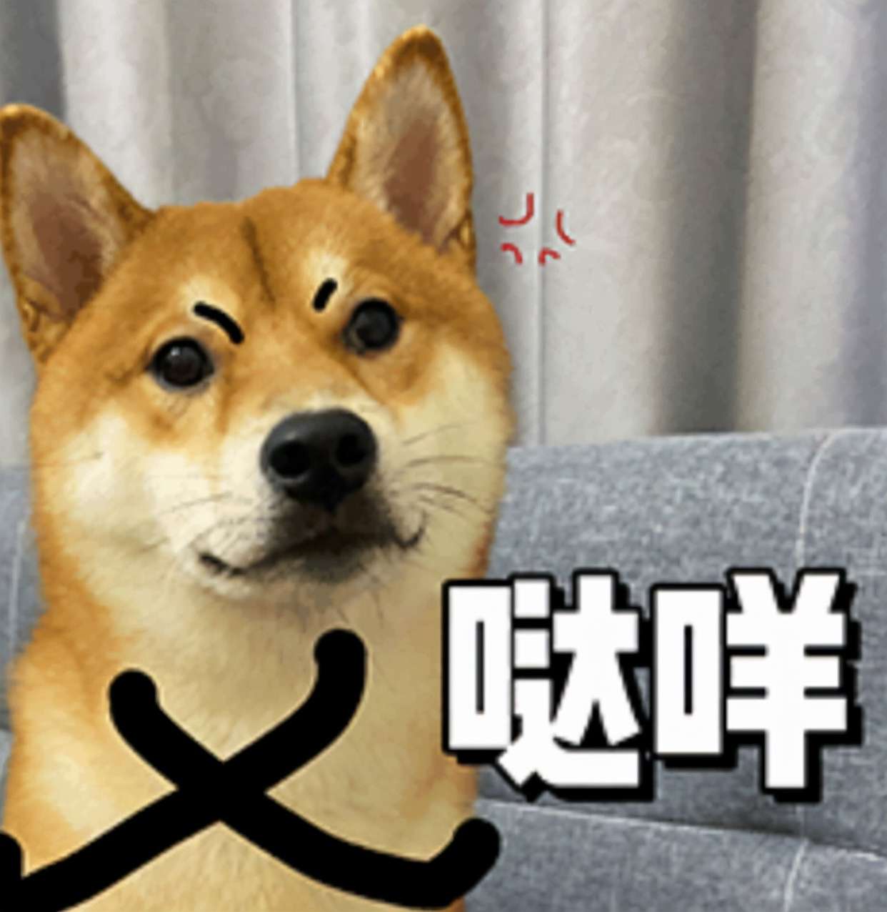 噠咩什么意思(噠咩噠咩梗表情包)