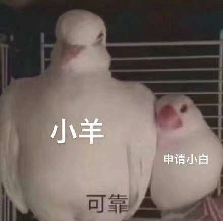 港大申請條件有哪些?香港大學排名及熱門專業