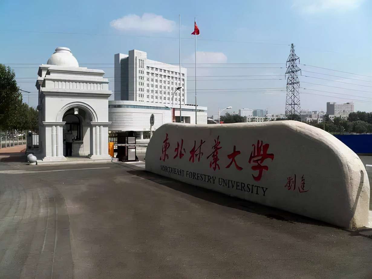 中南林業科技大學排名(五所林業類大學實力對比)