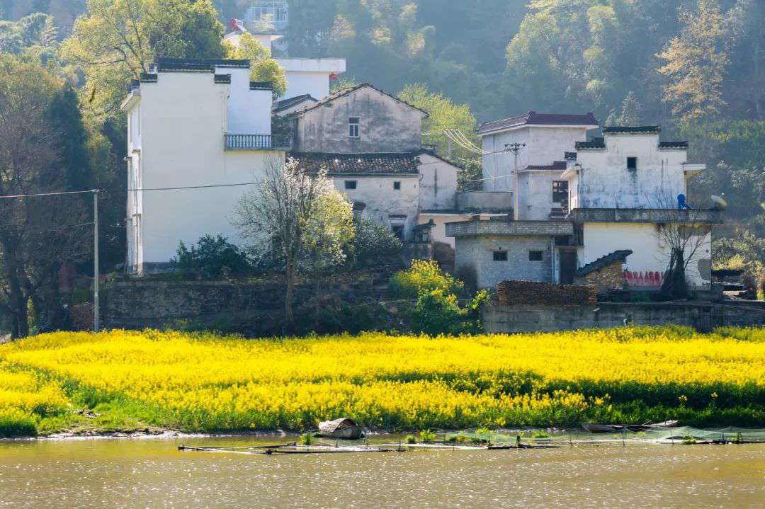 10首清明詩詞，落花飛絮，春意闌珊，最美人間四月天