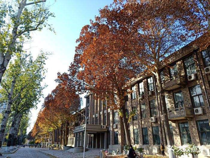 中國農業大學是211還是985,中國農業大學專業錄取分數線一覽