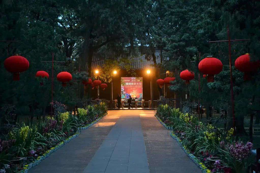 大學-西南大學