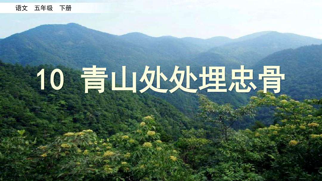 青山處處埋忠骨何須馬革裹尸還的意思(要點(diǎn)解析)