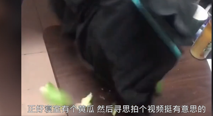東北大學生用凍硬的褲子切黃瓜，直接碎了，南方舍友驚呆