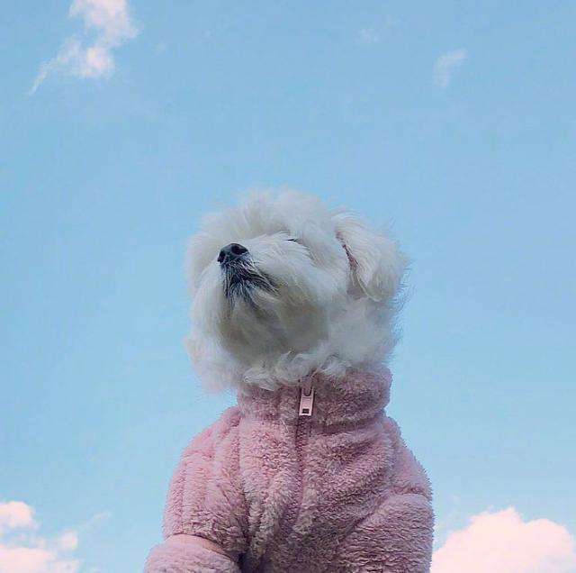 朋友圈最精辟的勵志語錄，句句陽光正能量