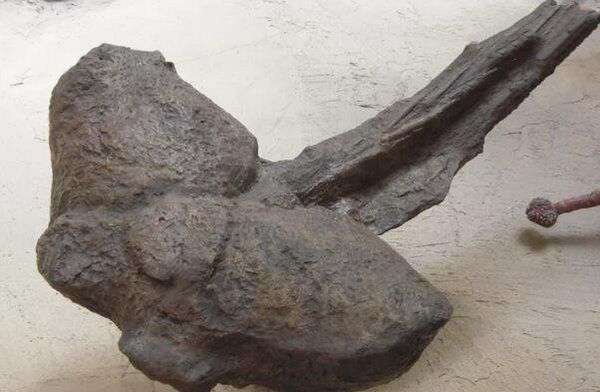 地球史上十大最強恐龍