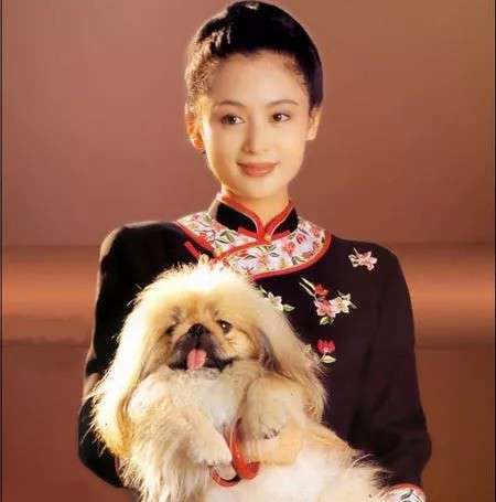“白月光”網(wǎng)絡(luò)語到底是什么意思？出自哪里？