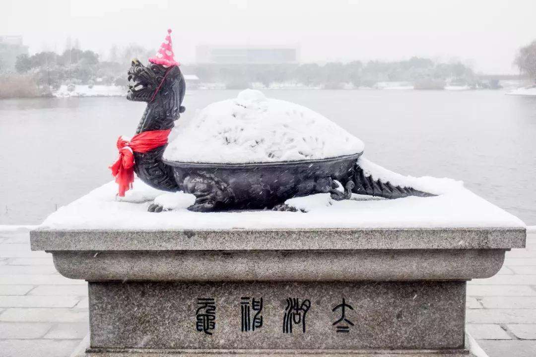 江南大學在哪個城市,江南大學概況