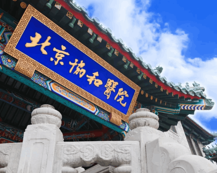 中國醫科大學全國排名,2022醫科類大學排行榜出爐