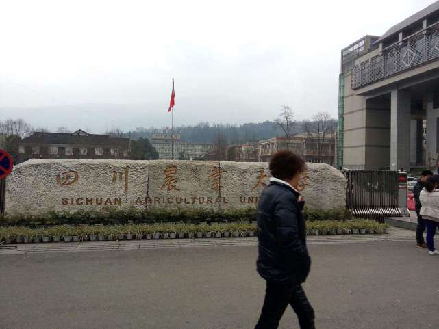 四川農業大學是211嗎,四川農業大學學科介紹