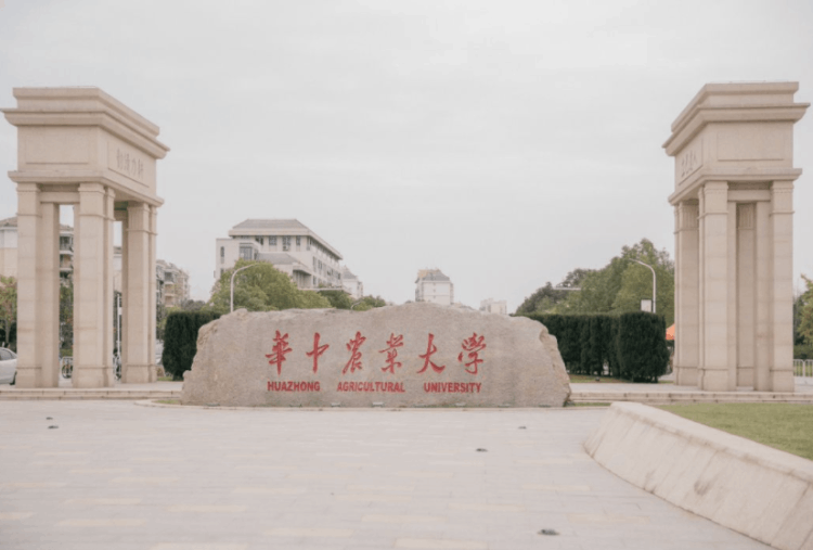 湖北省大學排名出爐,湖北高校金字塔梯隊陣容