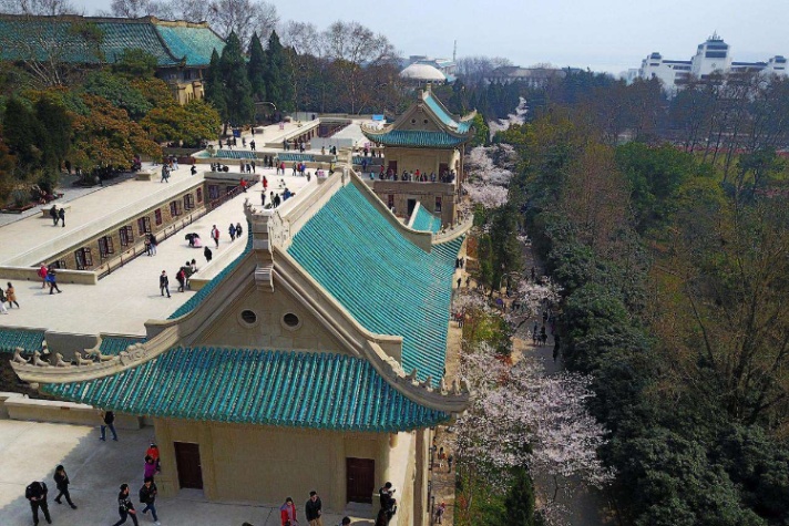 武漢大學(xué)是985還是211,武漢大學(xué)2021年錄取分?jǐn)?shù)線一覽