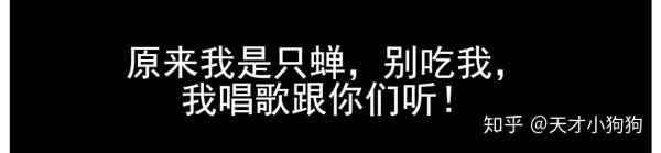 廣東人喜歡吃什么（惡心的廣東人什么都吃）