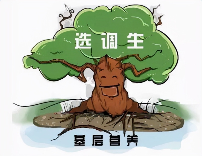 選調生待遇怎么樣（選調生為什么很少人報名）