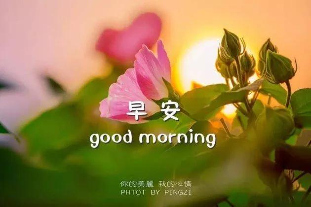 撩人早安情話最暖心短句