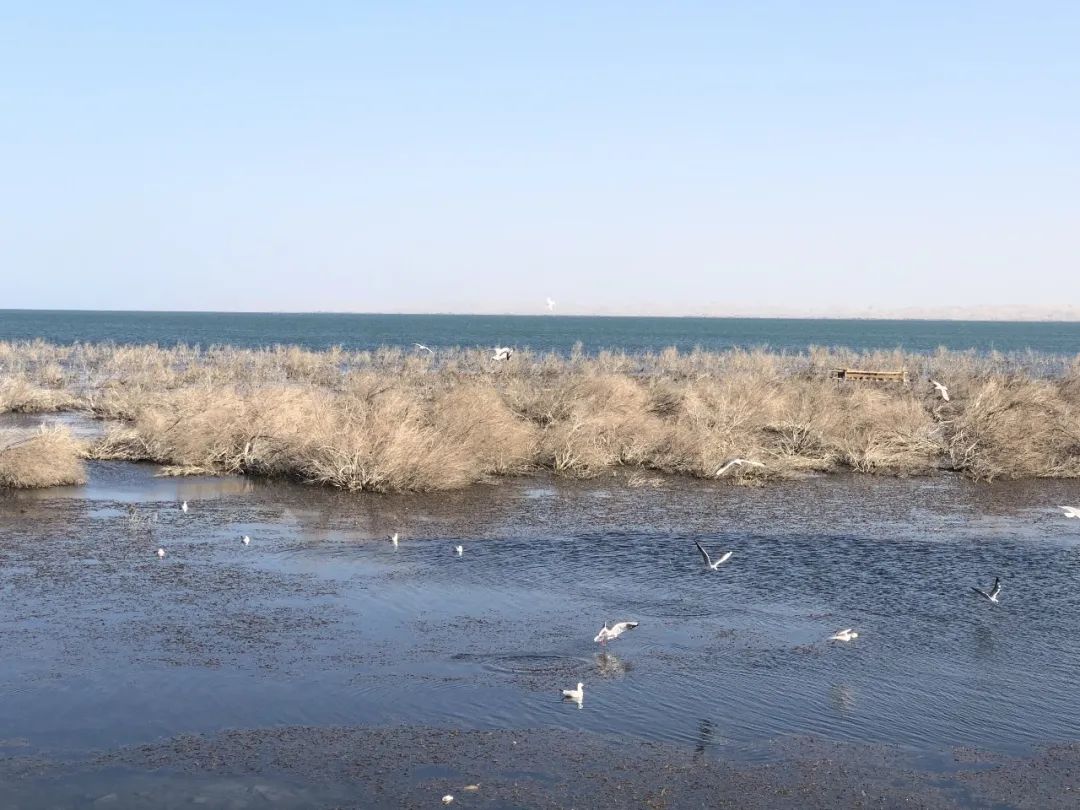 江州市屬于哪個省