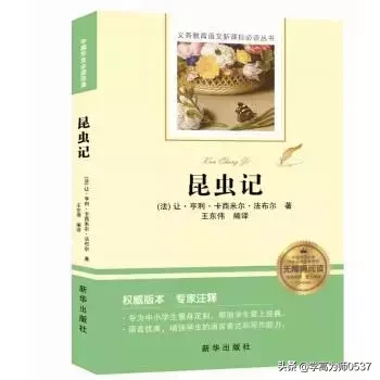 法布爾的資料簡介（法布爾的故事）