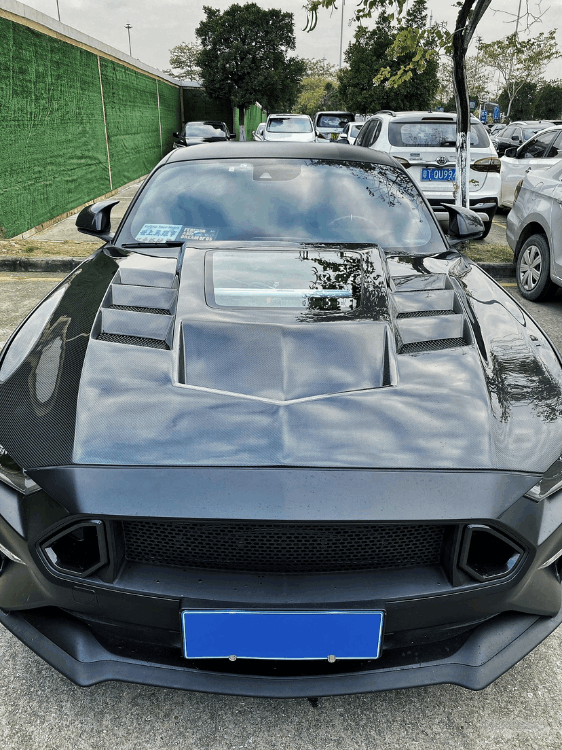 福特野馬黑武士多少錢(qián)一輛(黑武士野馬圖片及價(jià)格)