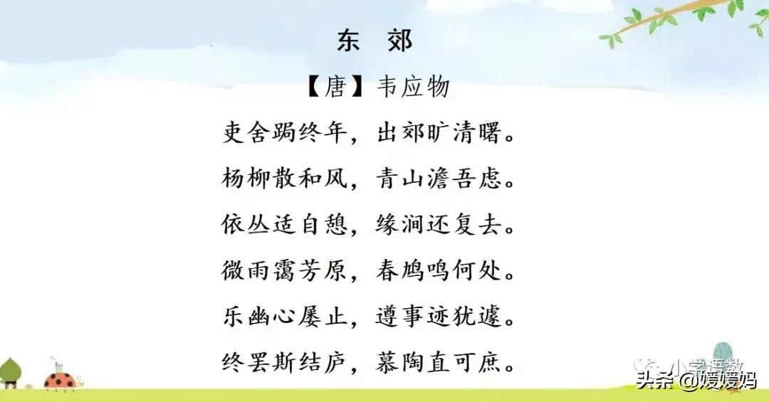 先寫現象再提出問題的句子