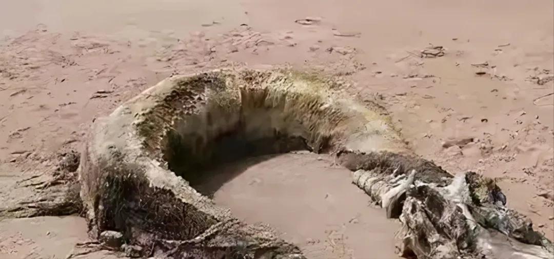 世界上真的有龍嗎（龍存在的十大證據(jù)）