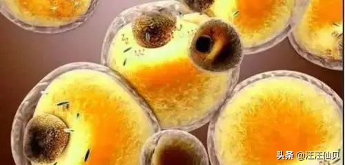 為什么人必須死（人死后還會有下輩子嗎）