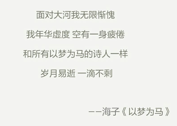 海子為什么臥軌 (臥軌是什么意思啊)