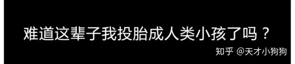 廣東人喜歡吃什么（惡心的廣東人什么都吃）