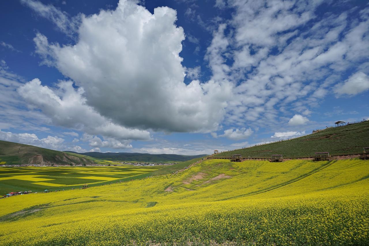 房車為什么到哪都惹人煩(房車出游真實感受)