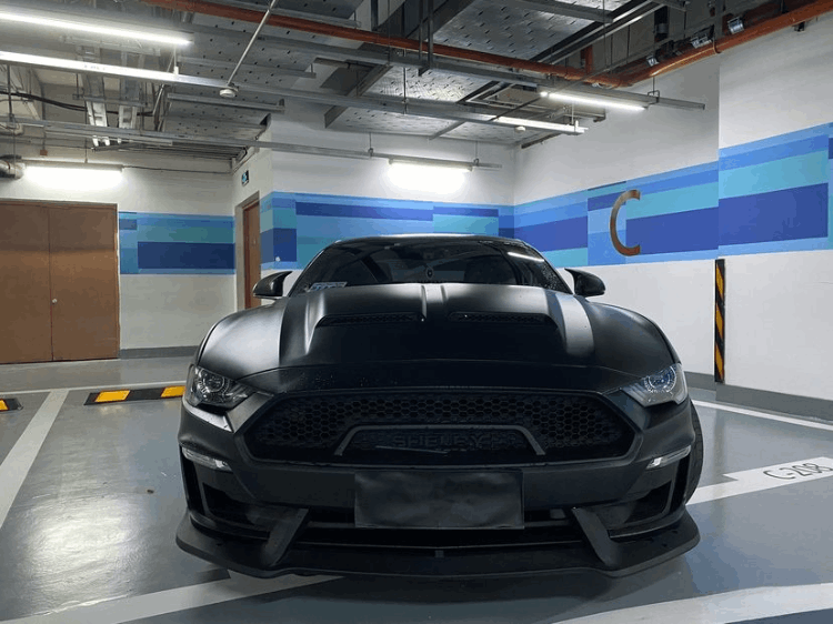 福特野馬黑武士多少錢(qián)一輛(黑武士野馬圖片及價(jià)格)