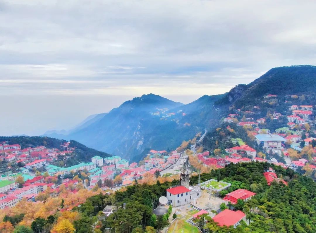 江州市屬于哪個省