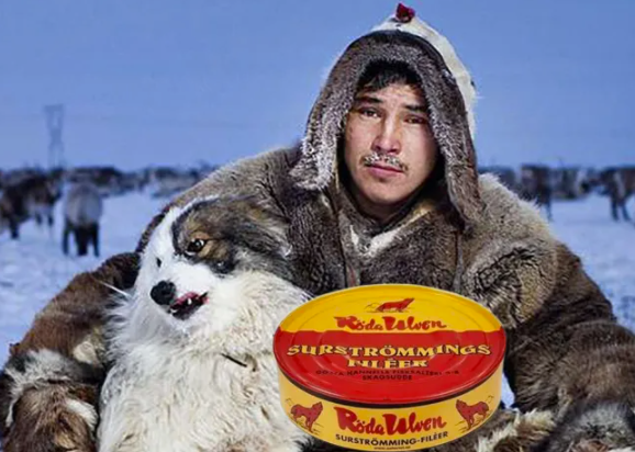 鯡魚罐頭為什么這么臭 (鯡魚那么臭為什么要吃)