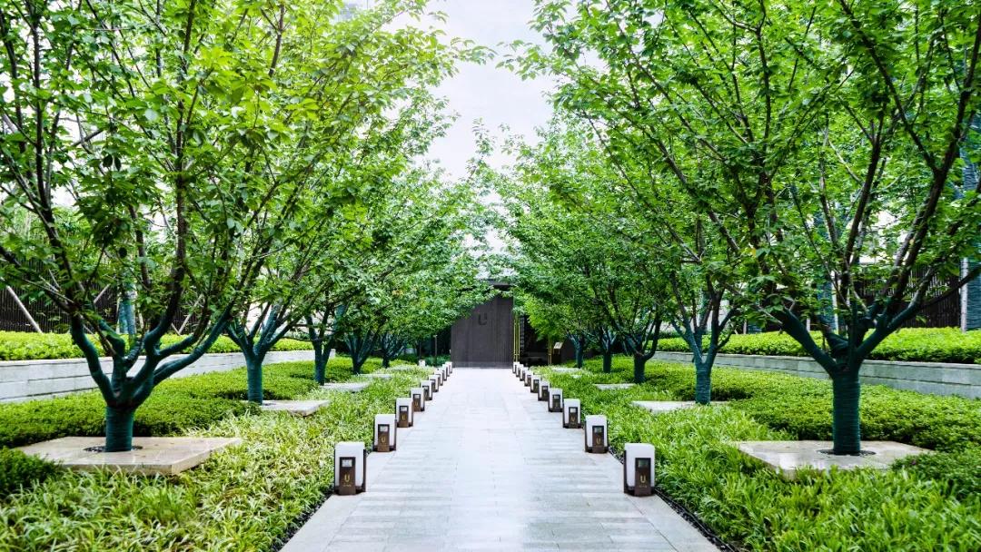 已經(jīng)買了恒大房子的人怎么辦(2022年恒大能正常交房嗎)