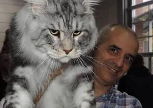 世界上最大的動(dòng)物(世界上最大的動(dòng)物是哪一種)