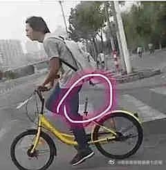 這些圖片讓人笑死
