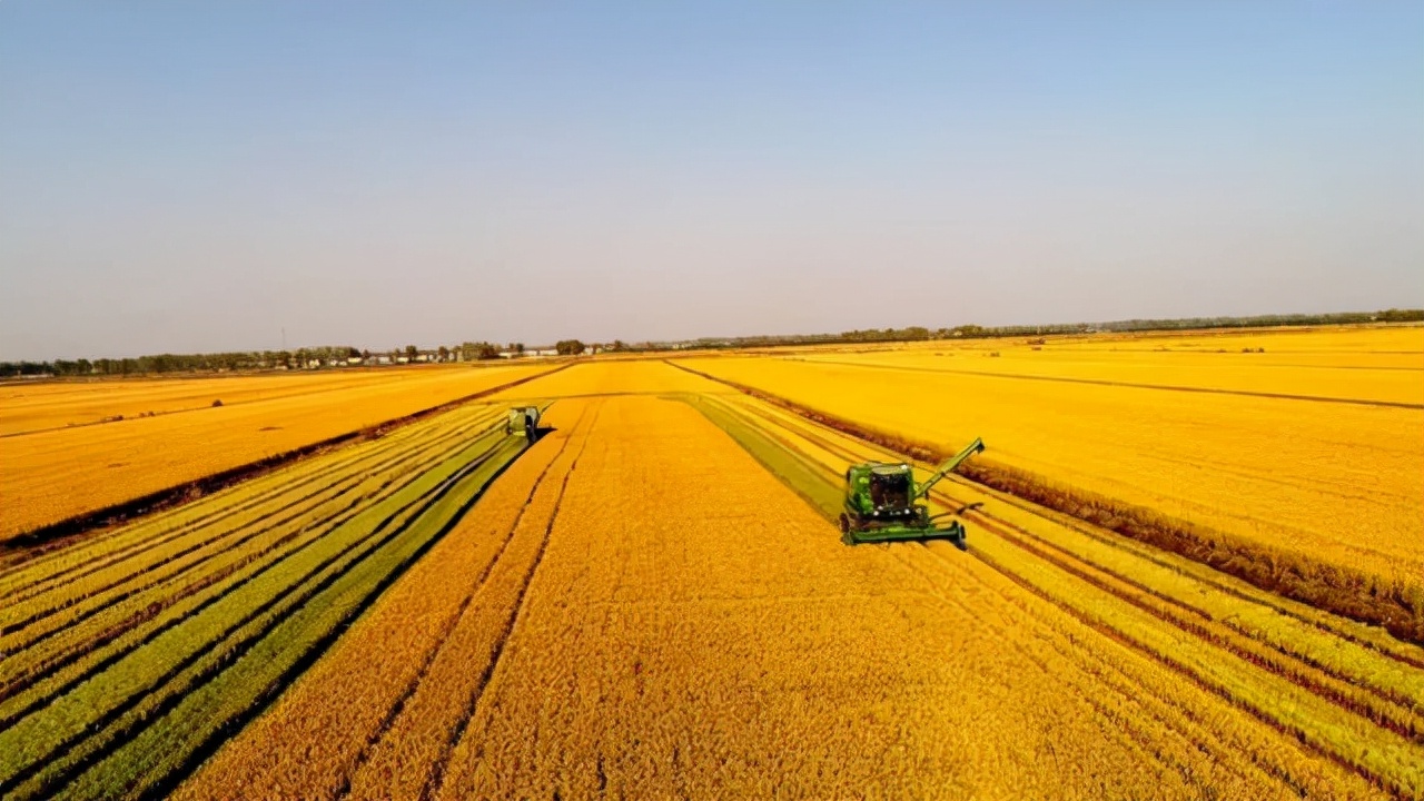 世界十大糧倉(cāng)地區(qū)(世界十大糧食出口國(guó)排名)
