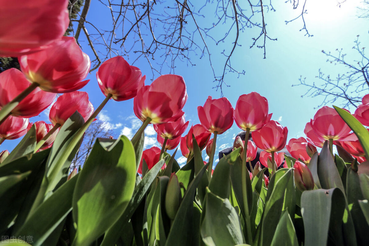 疫情什么時候才能徹底結束（疫情難道永遠結束不了了嗎）