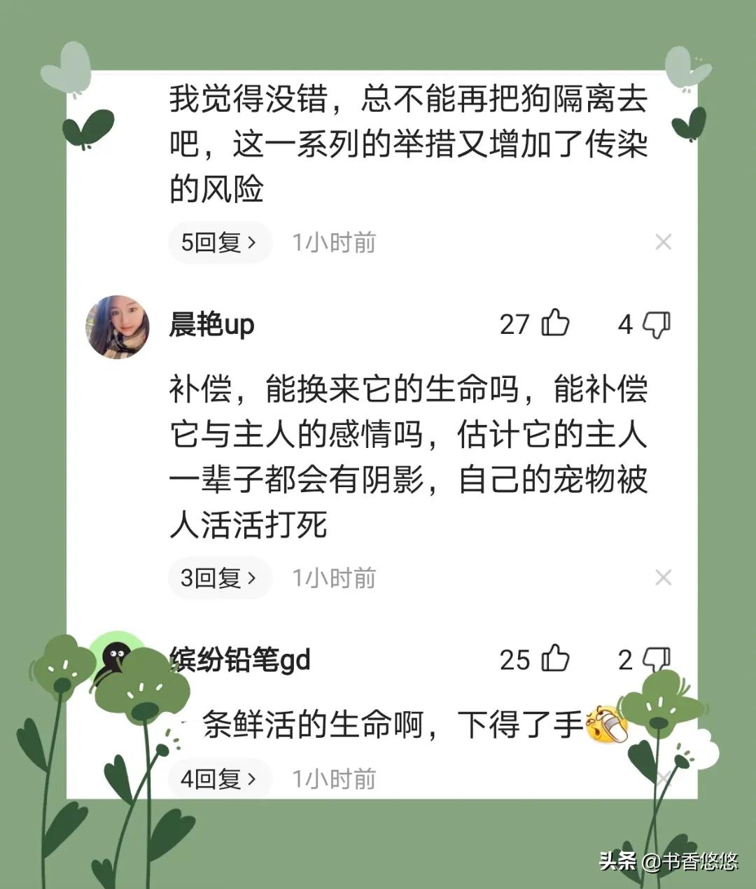 上海一柯基被打死（上海被打死柯基主人發(fā)聲）