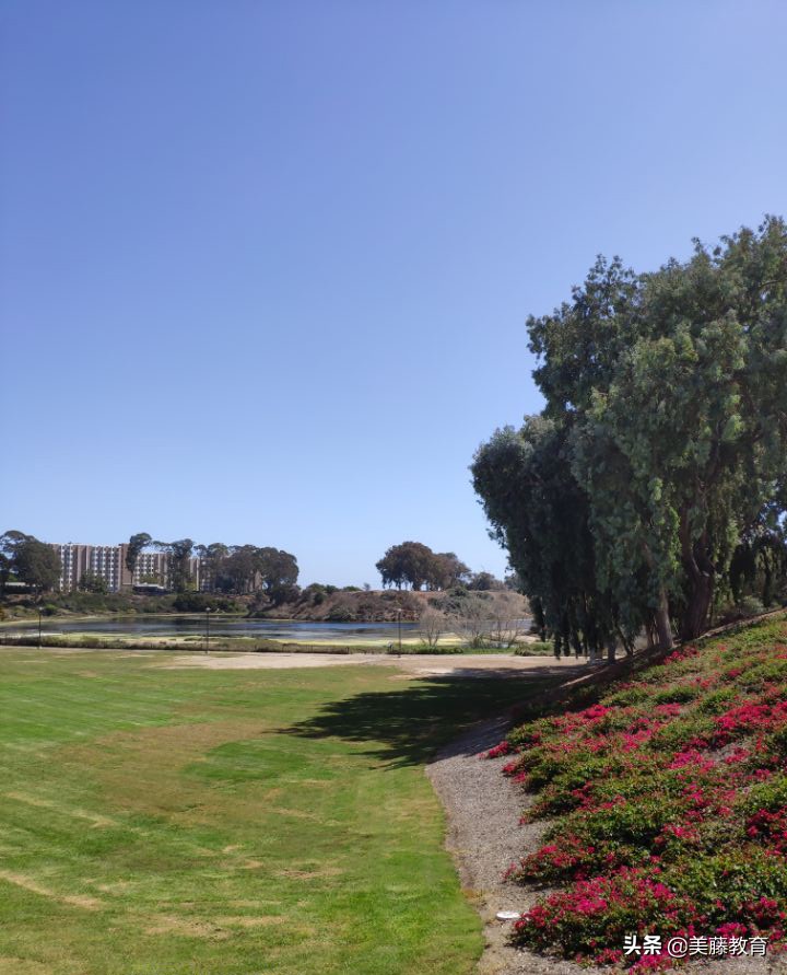 戴維斯大學相當于國內什么大學