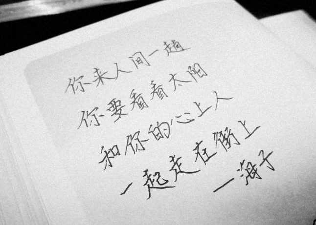 海子為什么臥軌 (臥軌是什么意思啊)