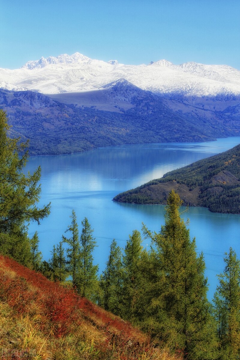 新疆湖泊排名（新疆的湖泊有哪些）