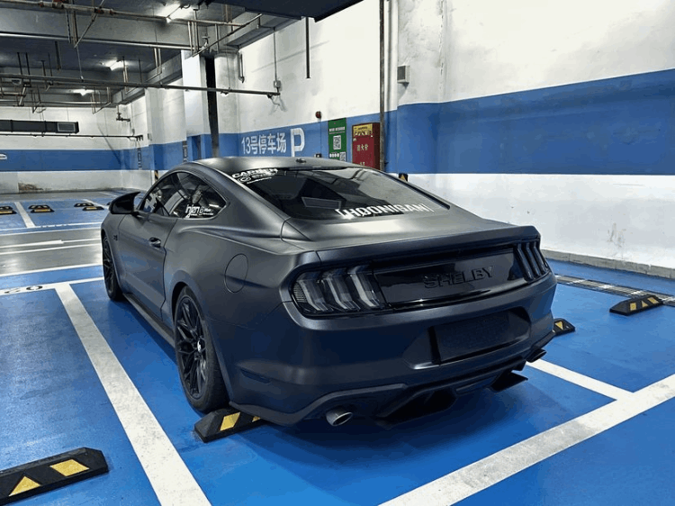 福特野馬黑武士多少錢(qián)一輛(黑武士野馬圖片及價(jià)格)