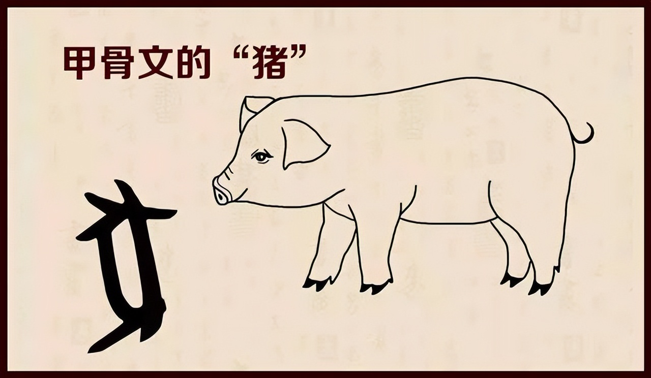 六根清凈指什么生肖(豬)