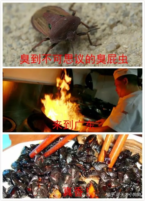 廣東人喜歡吃什么（惡心的廣東人什么都吃）