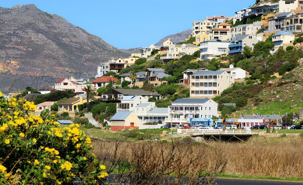 為什么中國沒有埃博拉 (埃博拉為何自己消失了)