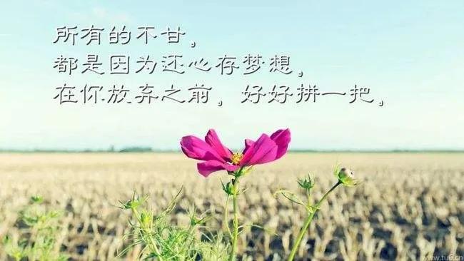 勵志的句子經典語句
