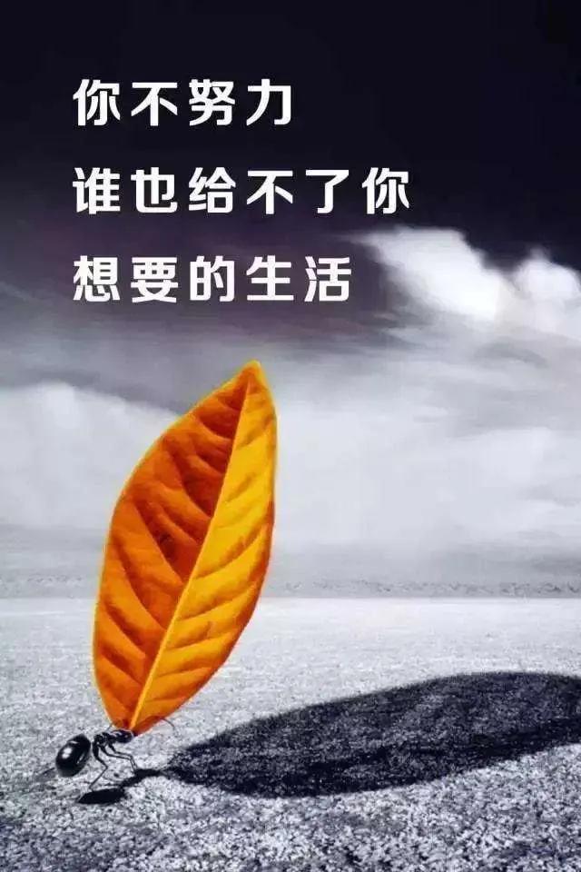 勵志的句子經典語句