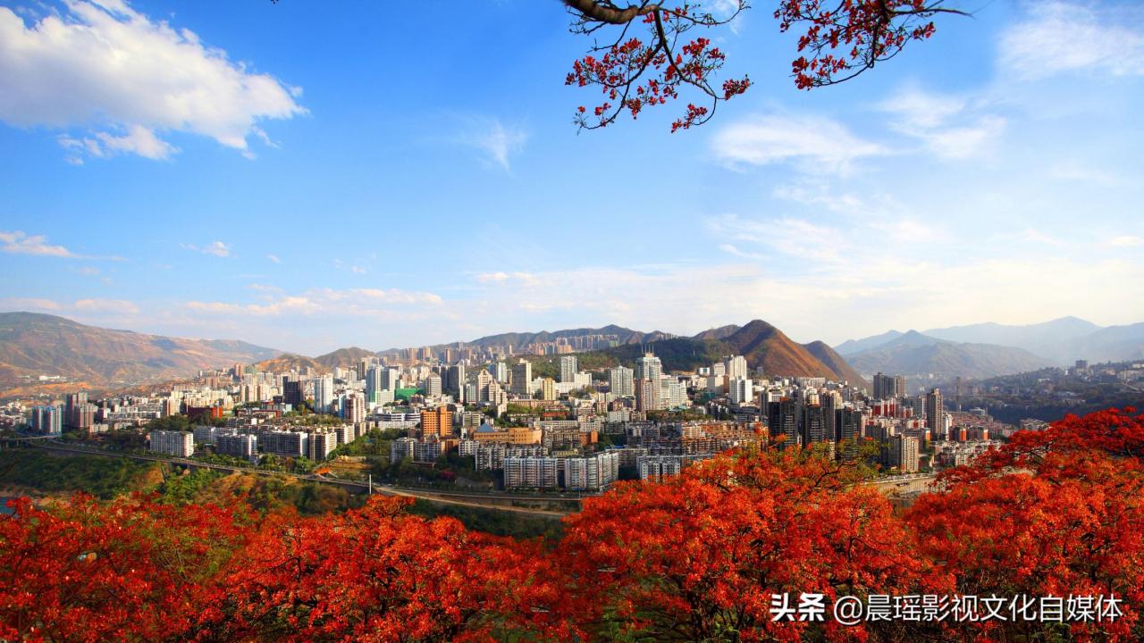 重慶車牌ABCDEF是怎么排的(現在重慶車牌都是A和D)