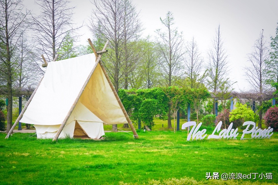 中國(guó)10大七星級(jí)酒店（中國(guó)七星級(jí)酒店有幾家）